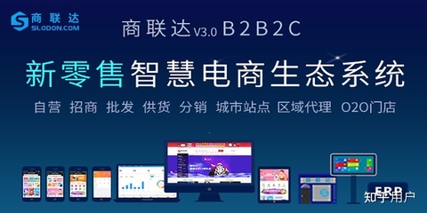 专门开发B2B2C的电子商务平台的公司有哪些?