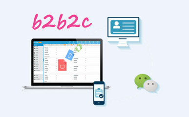 企业选择定制开发B2B2C多用户商城系统?